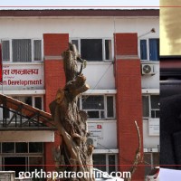 जनस्वास्थ्य समस्या बन्दै उपेक्षा गरिएका रोग : हात्तीपाइले र रेबिज नियन्त्रणमा चुनौती