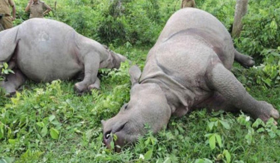 कर्णालीबाट ३८ हजार परीक्षार्थी एसइईमा सहभागी हुँदै