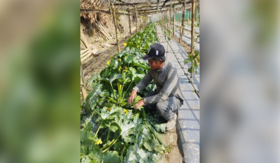 प्रतिनिधि सभा बैठक जारी (प्रत्यक्ष प्रसारण)