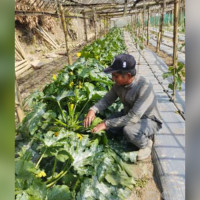 एकीकृत समाजवादीद्वारा बैठक आह्वान