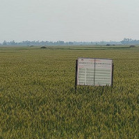 ‘सुपर जोन र जोन कार्यक्रम’ले उत्पादन बढायो