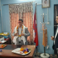 विद्यालयमा ढकमक्क सयपत्री फूल, सौन्दर्यसँगै आम्दानीको स्रोत बन्दै