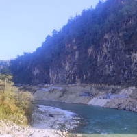 बीउ उत्पादन गर्न रोपिएको आलुको गोडमेल सुरु