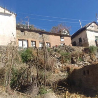 श्रीलङ्का टापुको उत्पादनले भारतीय गोलभेँडा प्रतिस्थापन