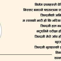 पेशागत महासंघ लमजुङमा घिमिरे