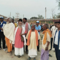 कृत्रिम प्रकाशका कारण सङ्कटमा चरा