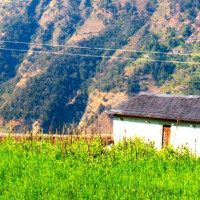 नेपाल राष्ट्रिय पुस्तकालय व्यवस्थित गर्न सरकारसँग सांसदको माग