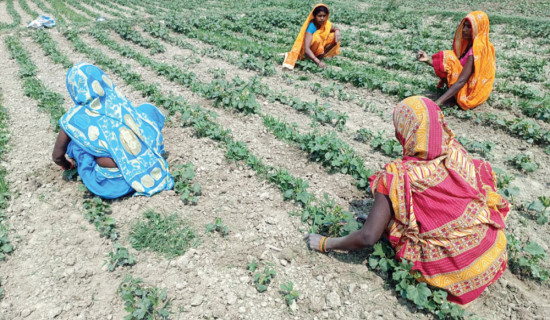 मोटरसाइकल ठोक्किएर एकको मृत्यु