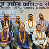 विद्युतीय सेवाले अपाङ्गता भएका मर्कामा