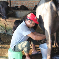 पहिरोले हुम्लाको खच्चा सडक अवरुद्ध