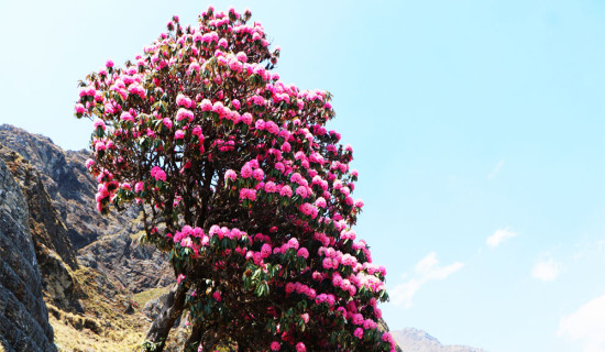 गजल वाचनको १० औँ शृङ्खला