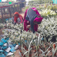 बेचबिखनको जोखिममा परेका एक हजारभन्दा बढीको उद्धार