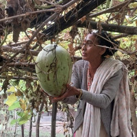 इजरायलमा श्रमिक लैजान निवेदन माग