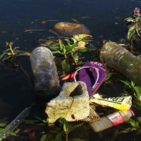 विपन्नका घर बनाउँदै विदेशी नागरिक