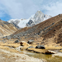 बैङ्कहरू बलिया छन् : गभर्नर