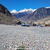 गोरखाका किसान व्यावसायिक कफि खेतीतर्फ आकर्षित