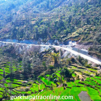 थारू सीप र संस्कृतिको प्रवर्धन गरौँ : सभापति देउवा