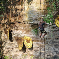 यु–१९ महिला विश्वकप : दक्षिण अफ्रिकालाई हराउँदै भारत च्याम्पियन