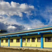 चिया नबिक्दा किसान चिन्तित
