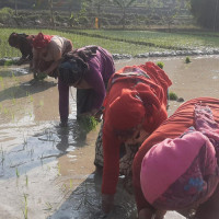 परराष्ट्रमन्त्री डा. देउवा र कतारका मन्त्रीको भेटवार्ता : विपिनको रिहाइमा सहयोगको आग्रह
