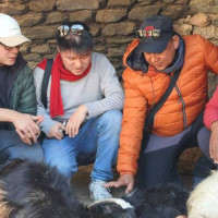 कोदो खेती गर्ने घटे, कुपोषण बढ्यो