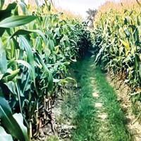 राष्ट्रिय गान गाएर सेवा प्रवाह सुरु