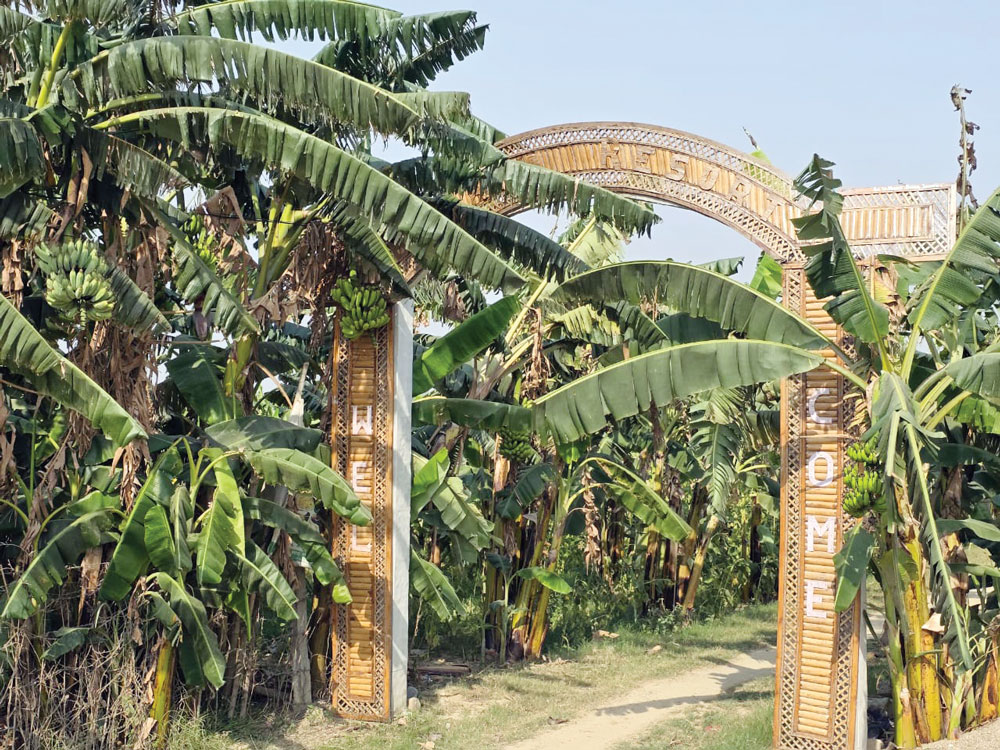 लोकप्रिय बन्दै केराका परिकार रौतहटमा तीन वटा ‘बनाना रिसोर्ट’