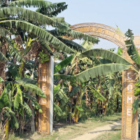 राष्ट्रिय गान गाएर सेवा प्रवाह सुरु