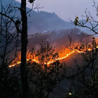 तनहुँमा राष्ट्रिय परिचयपत्र वितरण सुरु