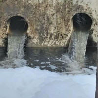 नागपञ्चमी नेपाल सर्प महोत्सव : ‘सर्पले टोक्दैमा आत्तिनुहुँदैन’