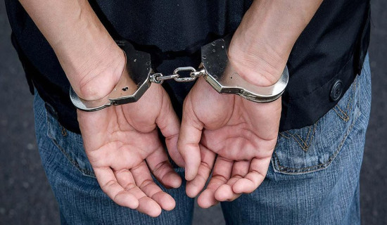 अपहरणको अभियोगमा नाबालकसहित चार जना पक्राउ