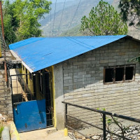 लोकप्रिय बन्दै केराका परिकार रौतहटमा तीन वटा ‘बनाना रिसोर्ट’