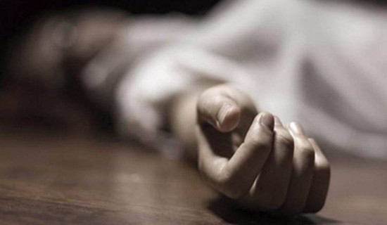 आफैँले ढालेको रुखले च्यापिएर युवककाे मृत्यु