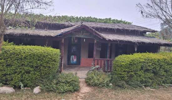 कोइलाबासमा बर्सेनी बढ्दै राजस्व सङ्कलन