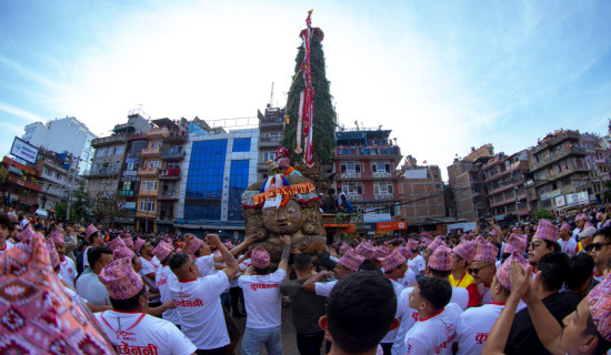 बिमाको औषधी पाउनै मुस्किल