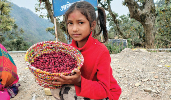 सात महिनादेखि तलबविहीन चिकित्सक