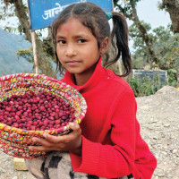 अध्यक्ष दाहालद्वारा अन्तरराष्ट्रिय श्रमिक दिवसको शुभकामना