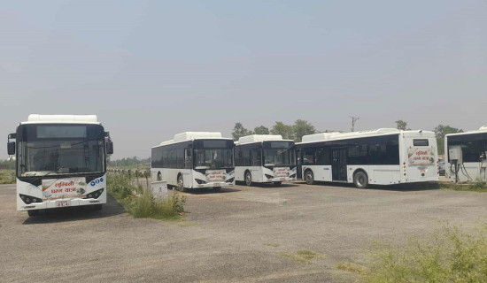 सञ्चालनमा आएनन् विद्युतीय बस