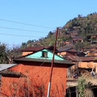 सर्प उद्धारमा नगर प्रहरी