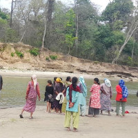 क्याम्पस प्रमुखको कुर्सी रुखमा झुन्ड्याइयो