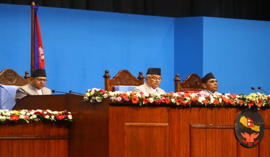 नौ पालिकामा सकियो कार्यपालिकाको निर्वाचन