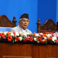गाई फार्ममा आगलागी हुँदा धनजनको क्षति