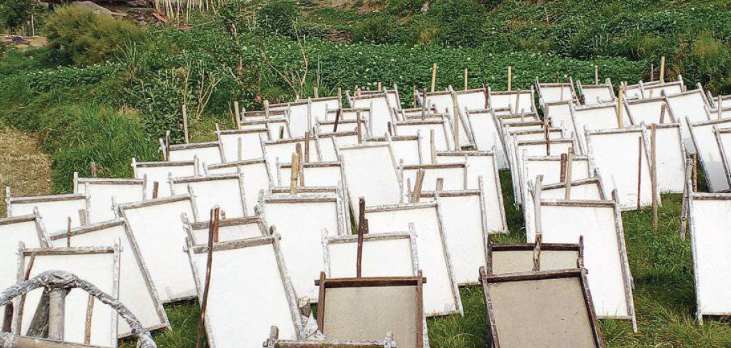 नेपाली हाते कागज उद्योग सङ्कटमा