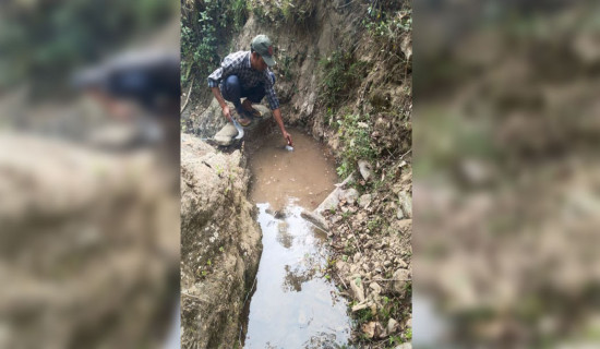 शिशु कक्षाबाटै अङ्ग्रेजी माध्यम