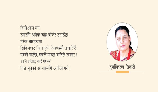 सायद म हिउँ भैसकेँ  (कविता)