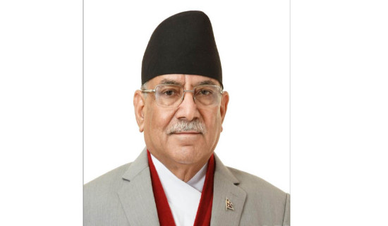 सङ्घीय लोकतान्त्रिक गणतन्त्र एवं संविधानको कार्यान्वनमा प्रेसको भूमिका सराहनीय : अध्यक्ष प्रचण्ड
