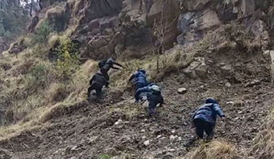 यार्सा खोज्न गएका युवाको भिरबाट लडेर मृत्यु
