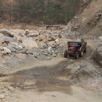कार जत्रो कछुवाको जीवाश्म