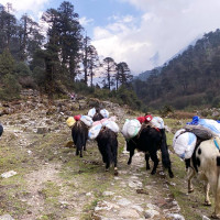 प्राथमिकता तोकेरै बजेट ल्याउन सुझाव