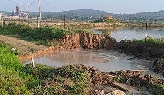 कार जत्रो कछुवाको जीवाश्म